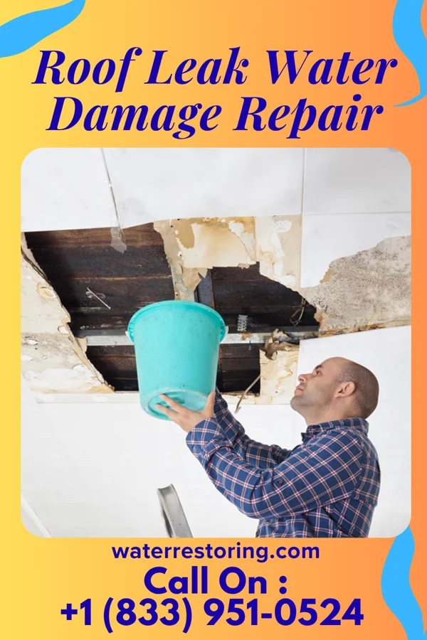 Roof Leak Water Damage Repair in Newport, NE